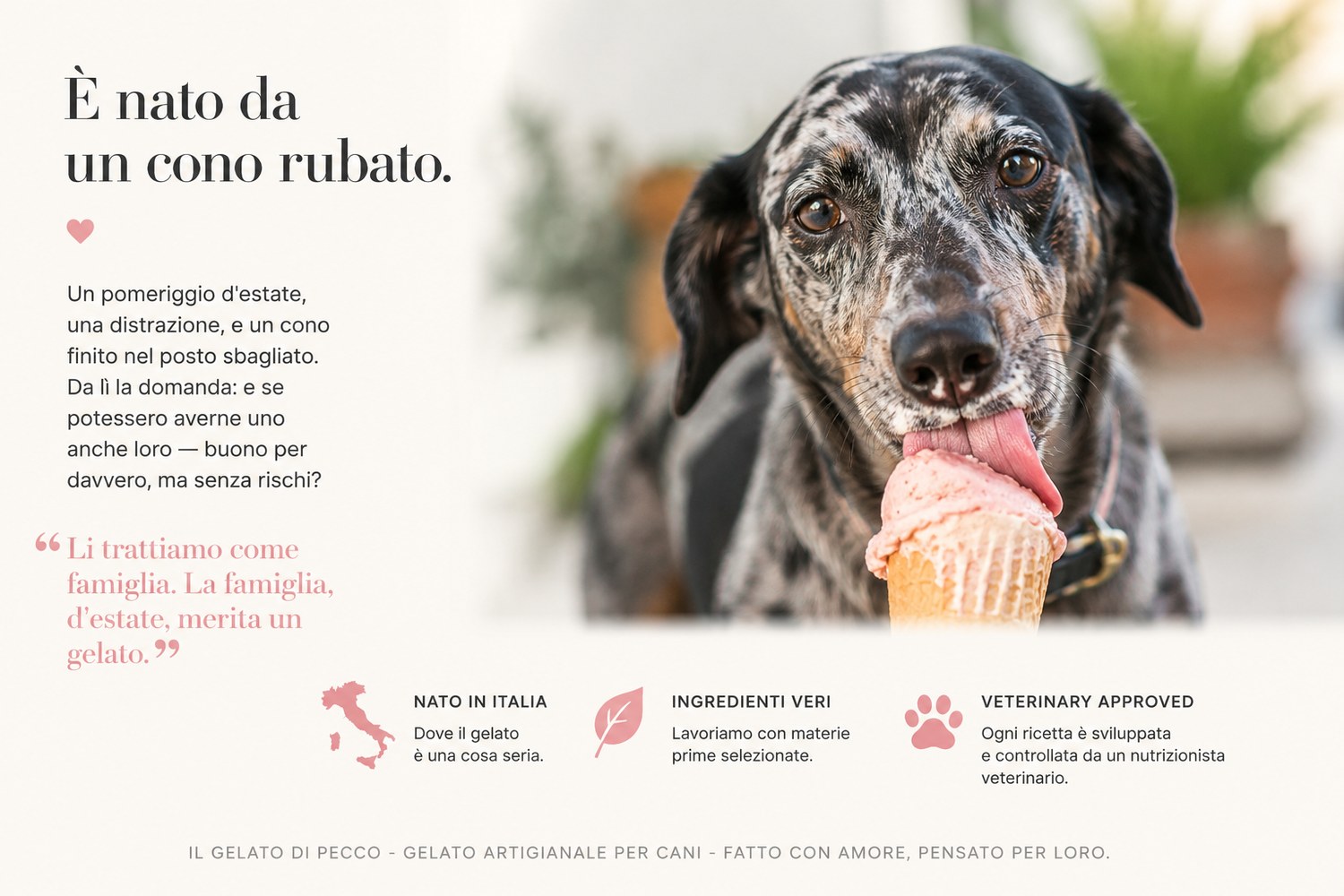 È nato da un cono rubato — la storia de Il Gelato di Pecco